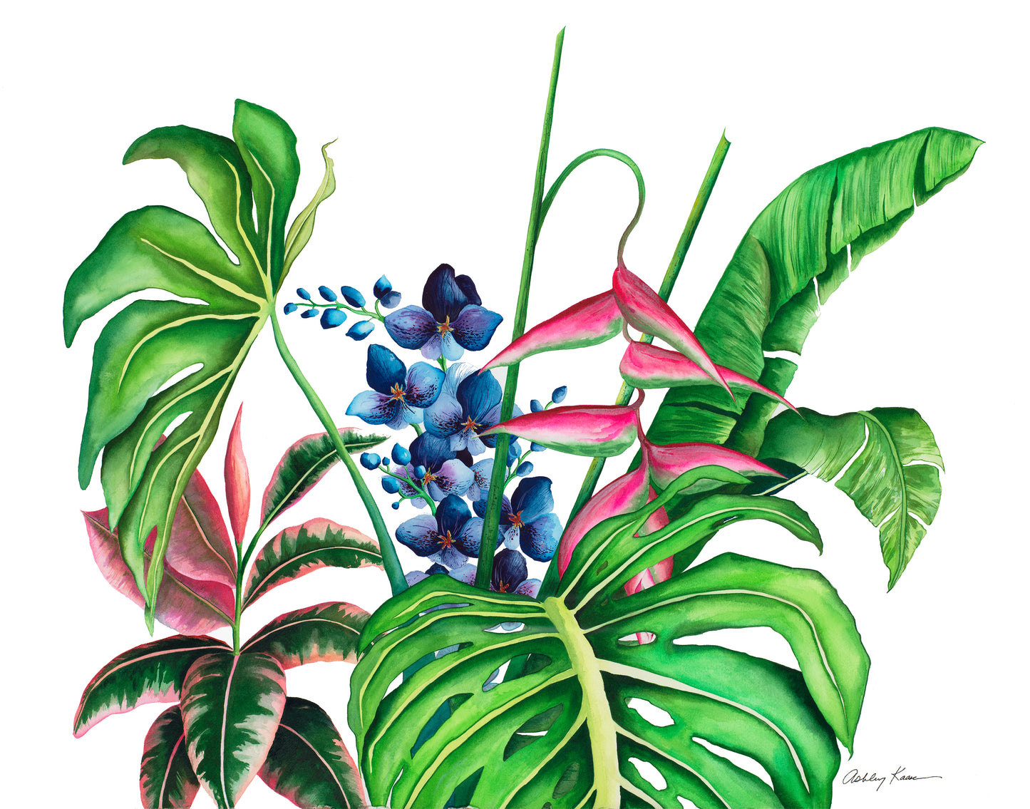 Ashley Kaase - "In The Garden"