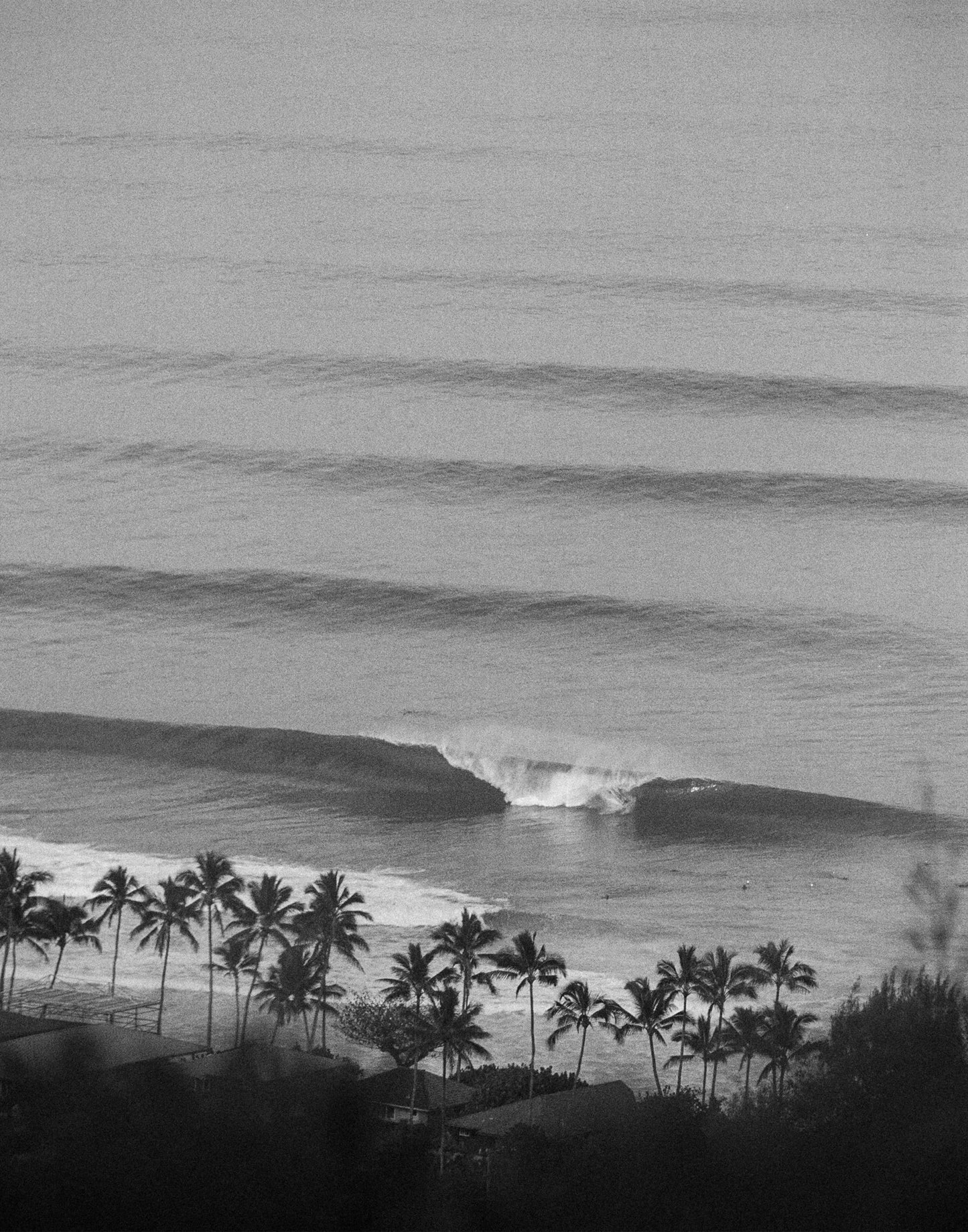 Brooklyn Hawaii - "Swells"