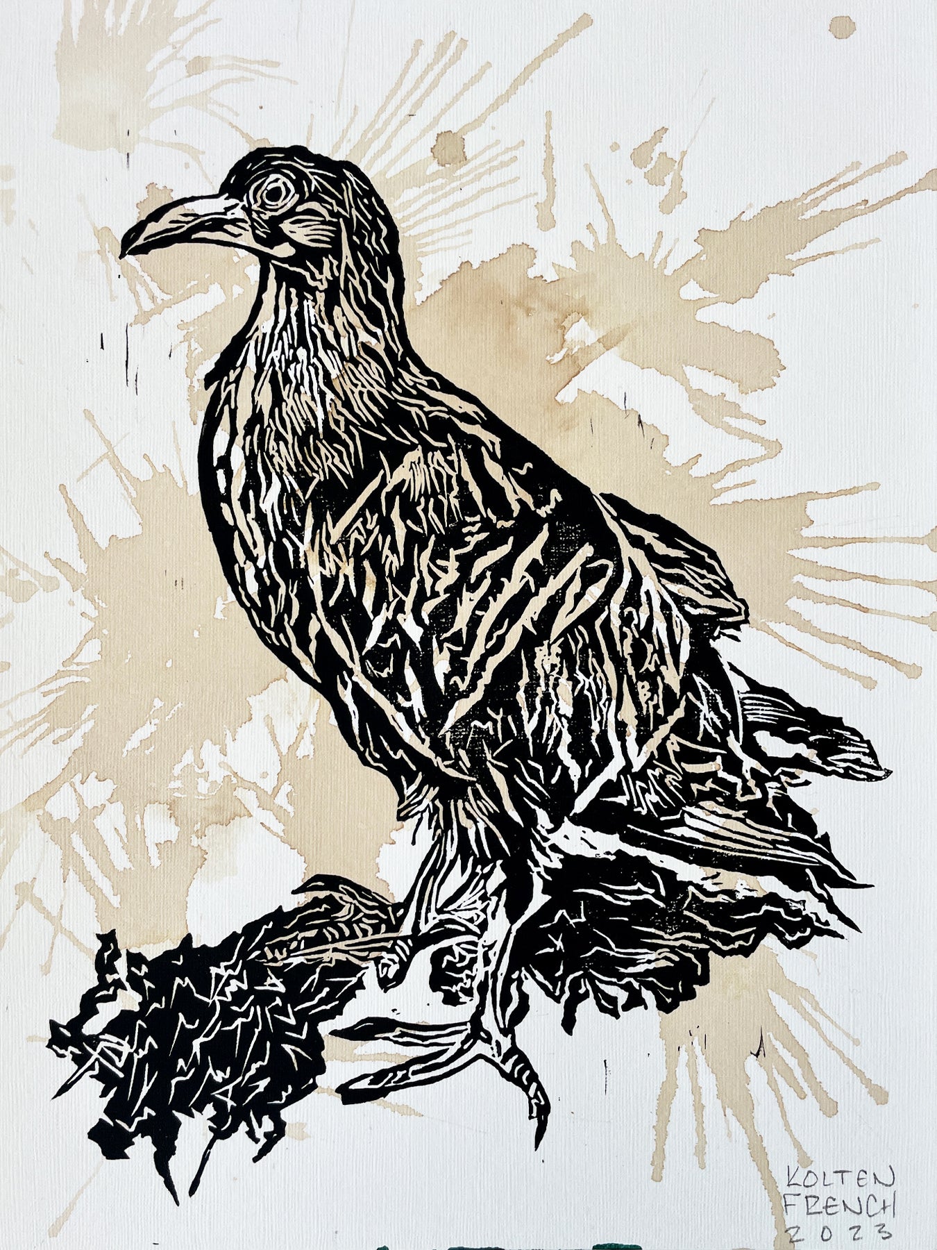 Kolten French - "Pidgin, Pigeon?
