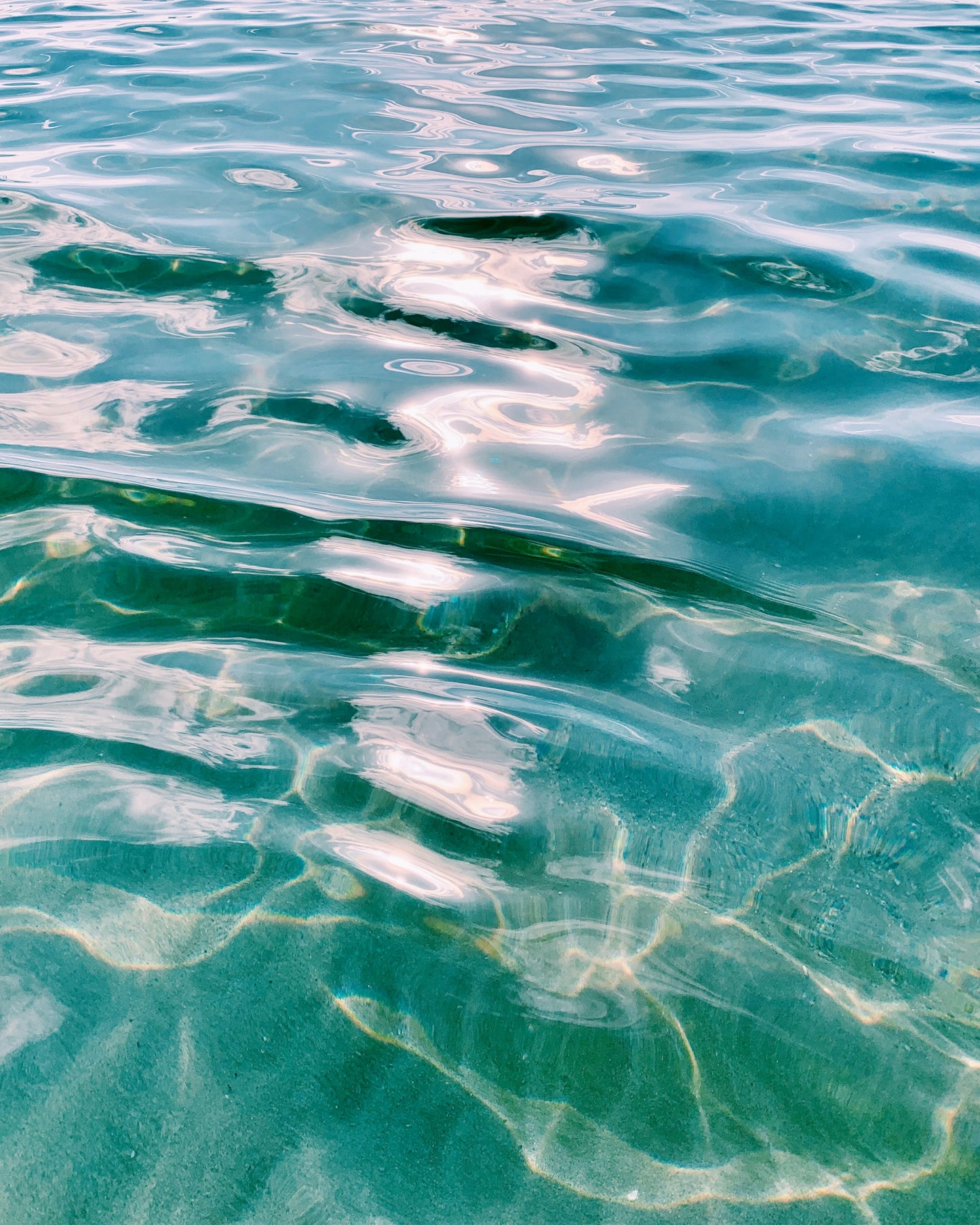 Meagan Suzuki - "Ulua Beach"