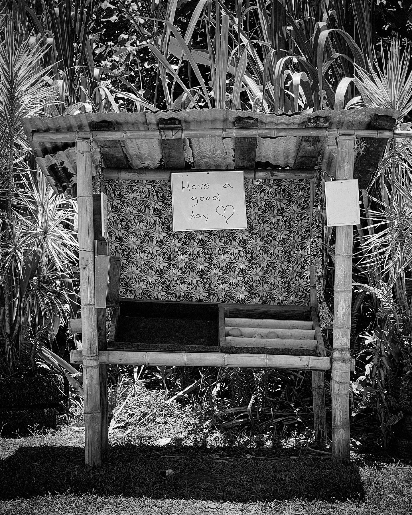 Megan Villa - "Fruit Stand"